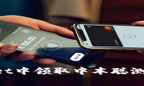 如何在tpWallet中领取中本聪测试币：详细指南
