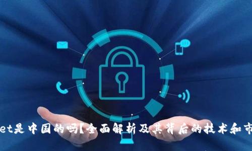 tpWallet是中国的吗？全面解析及其背后的技术和市场潜力