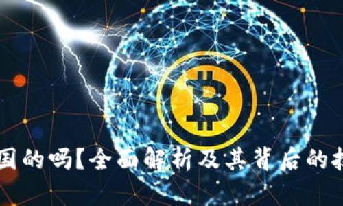 tpWallet是中国的吗？全面解析及其背后的技术和市场潜力