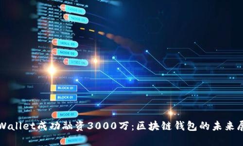 tpWallet成功融资3000万：区块链钱包的未来展望