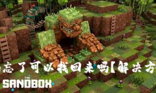 tpWallet密码忘了可以找回来吗？解决方案与注意事项