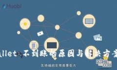 tpWallet 不到账的原因与解