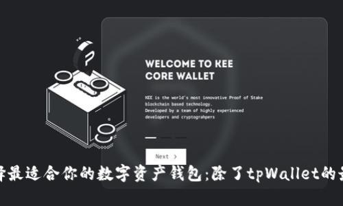 如何选择最适合你的数字资产钱包：除了tpWallet的最佳选择
