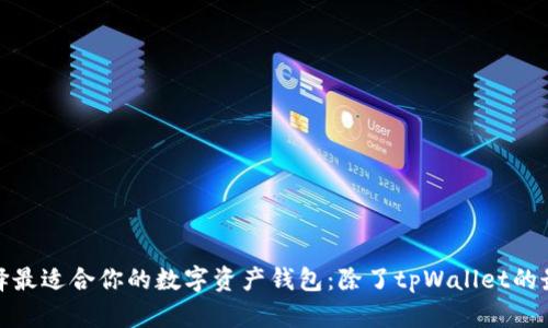 如何选择最适合你的数字资产钱包：除了tpWallet的最佳选择
