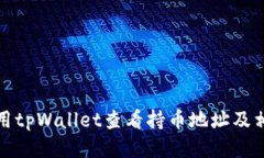 如何使用tpWallet查看持币地