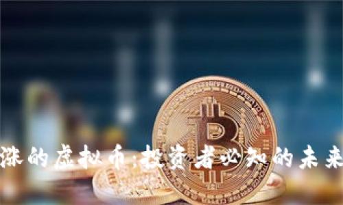 下一个暴涨的虚拟币：投资者必知的未来潜力币种