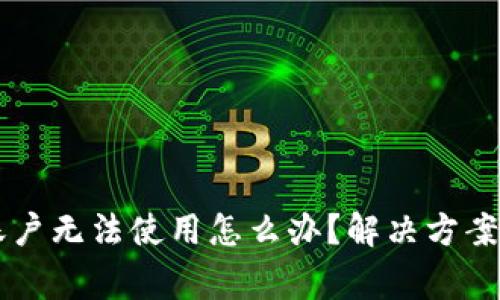 tpWallet国内账户无法使用怎么办？解决方案与常见问题解析