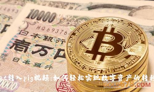 tpWallet转入pig视频：如何轻松实现数字资产的转移与管理