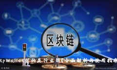 tpWallet装的是什么钱？全面
