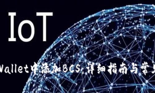如何在tpWallet中添加BCS：详细指南与常见问题解答