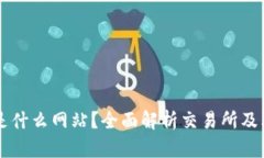  TSE是什么网站？全面解析