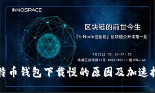 比特币钱包下载慢的原因及加速技巧