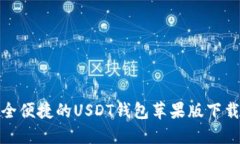 : 安全便捷的USDT钱包苹果