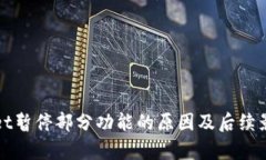 tpWallet暂停部分功能的原因