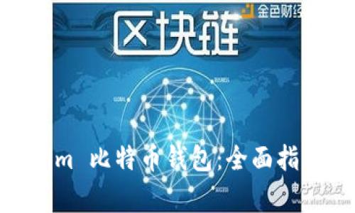 如何使用 Token.im 比特币钱包：全面指南与常见问题解答