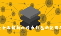 币信IM：全面解析比特币钱