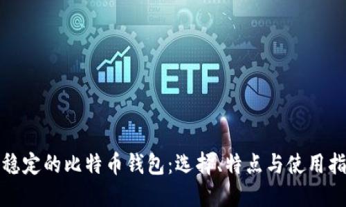 最稳定的比特币钱包：选择、特点与使用指南