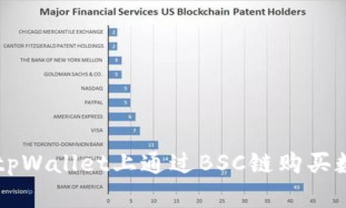 如何在tpWallet上通过BSC链购买数字货币