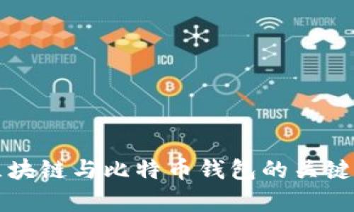 全面解析区块链与比特币钱包的关键知识与应用