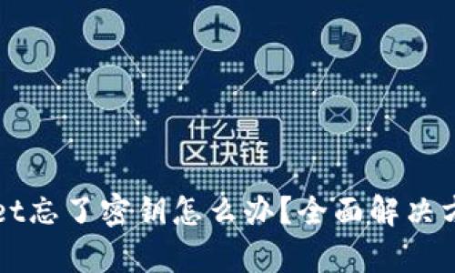 tpWallet忘了密钥怎么办？全面解决方案解析