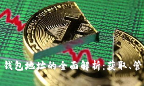 中国比特币钱包地址的全面解析：获取、管理与安全性