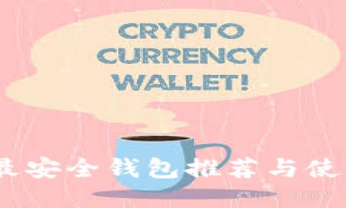 USDT最安全钱包推荐与使用指南