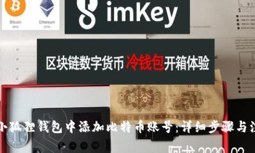 如何在小狐狸钱包中添加比特币账号：详细步骤与注意事项