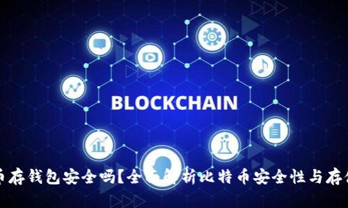 比特币存钱包安全吗？全面解析比特币安全性与存储方案