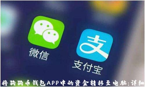 
如何将狗狗币钱包APP中的资金转移至电脑：详细指南
