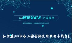 如何在iOS设备上安全地使