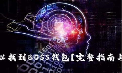 在哪里可以找到BOSS钱包？完整指南与使用技巧