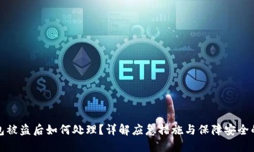 TP钱包被盗后如何处理？详解应急措施与保障安全的建议