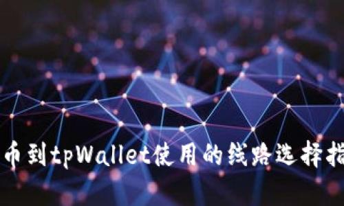 提币到tpWallet使用的线路选择指南