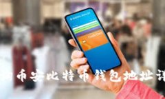 如何查询币安比特币钱包