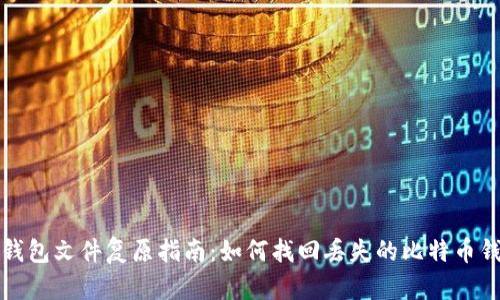 比特币钱包文件复原指南：如何找回丢失的比特币钱包文件