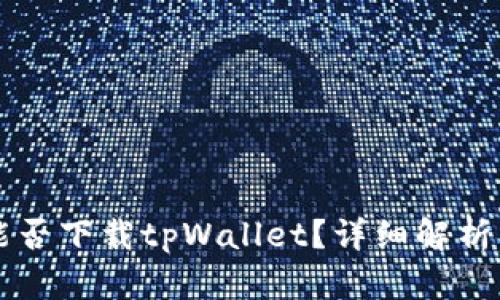 苹果手机能否下载tpWallet？详细解析及使用指南