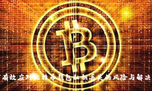 如何有效应对比特币钱包私钥丢失的风险与解决方案