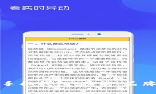 选择最佳的手机钱包：功能、品牌与购买指南