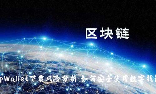 tpWallet下载风险分析：如何安全使用数字钱包