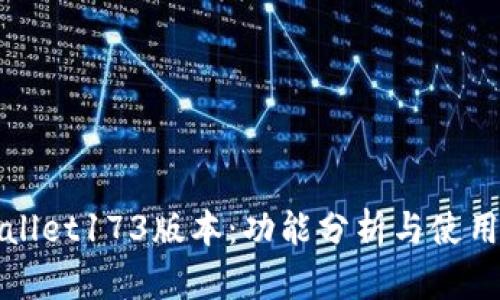 tpWallet173版本：功能分析与使用指南