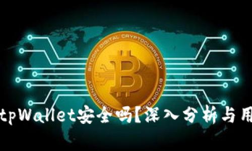 波场的tpWallet安全吗？深入分析与用户指南
