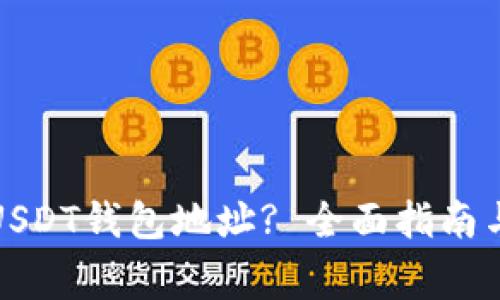 如何查询USDT钱包地址? 全面指南与注意事项