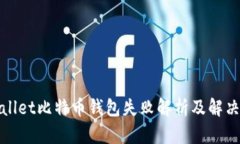 tpWallet比特币钱包失败解析