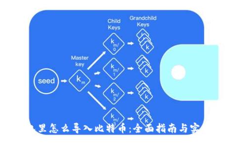 钱包里怎么导入比特币：全面指南与实用技巧