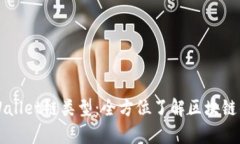 深度解析tpWallet链类型：全