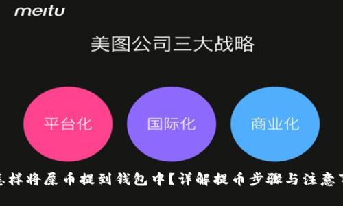 : 怎样将屎币提到钱包中？详解提币步骤与注意事项