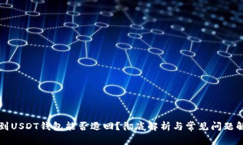 转到USDT钱包能否退回？彻底解析与常见问题解答