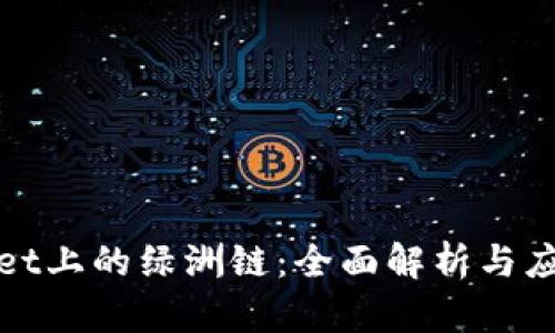 tpWallet上的绿洲链：全面解析与应用前景