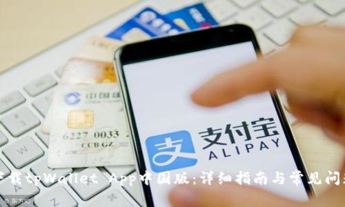 如何下载tpWallet App中国版：详细指南与常见问题解析