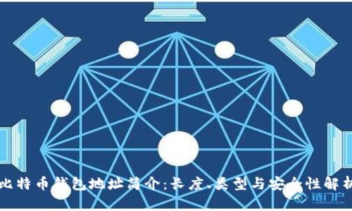 比特币钱包地址简介：长度、类型与安全性解析